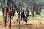 Massai - Ratnici kiše Slika e
