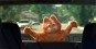 Garfield Slika b
