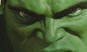 Hulk Slika g