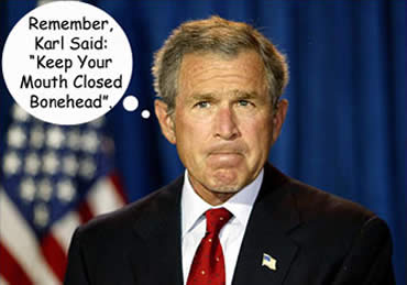 Mozak Georgea Busha - Dokumentarni